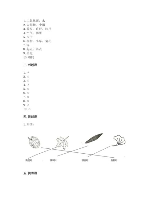 教科版一年级上册科学期末测试卷（网校专用）.docx