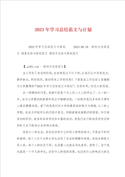 2023年学习总结范文与计划