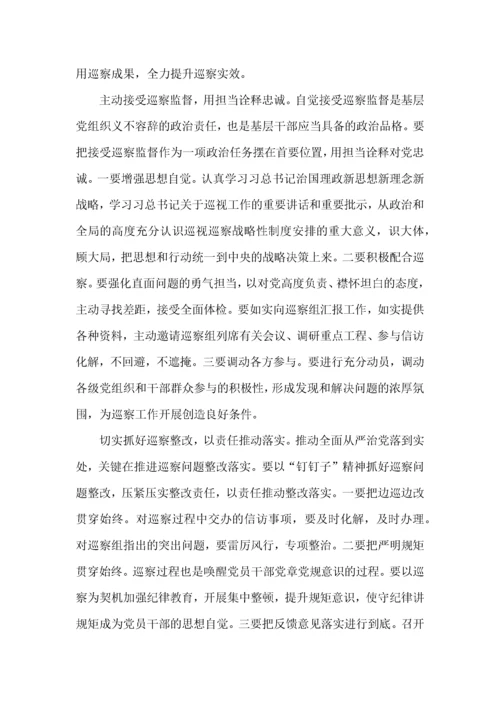 巡视巡查工作个人心得体会范文五篇.docx