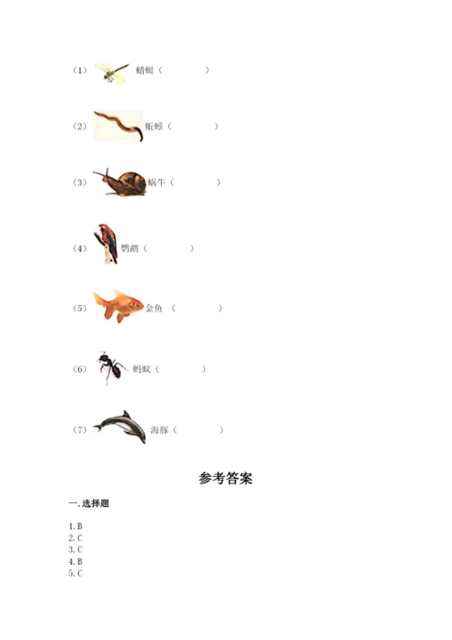 教科版小学二年级上册科学期末测试卷带答案ab卷.docx
