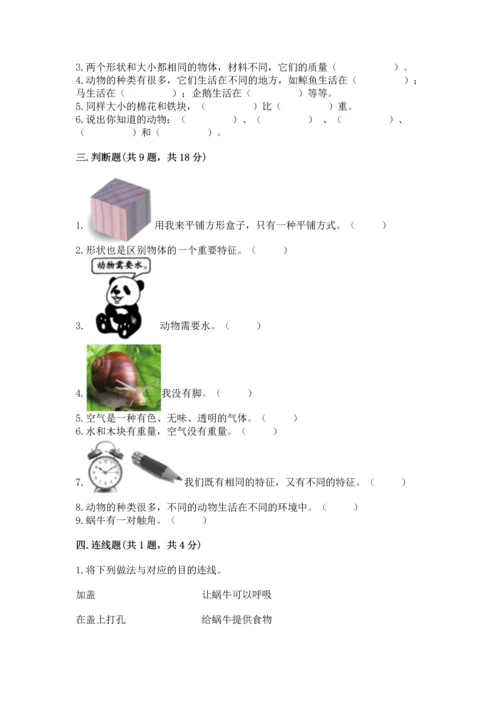 教科版一年级下册科学期末测试卷精品【全优】.docx