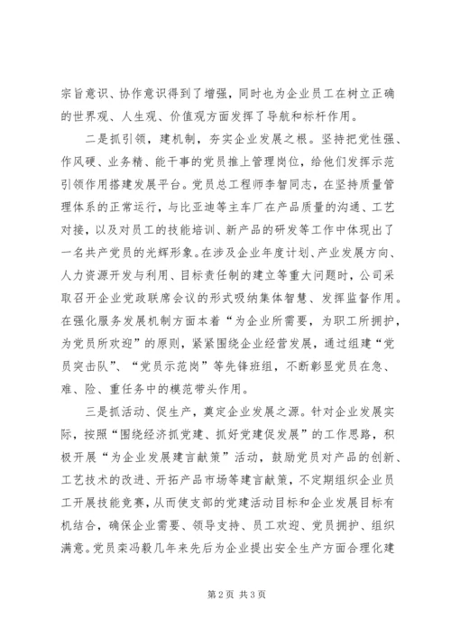 公司党支部党建纪实.docx