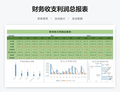 财务收支利润总报表