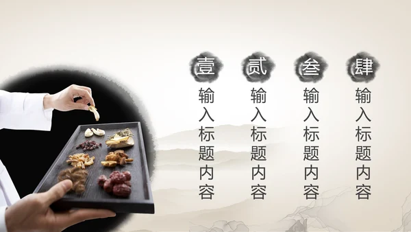 传统中医学中医院中医文化中草药PPT模板