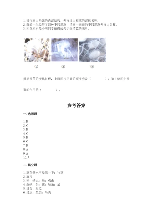 教科版小学科学三年级下册期末测试卷【能力提升】.docx