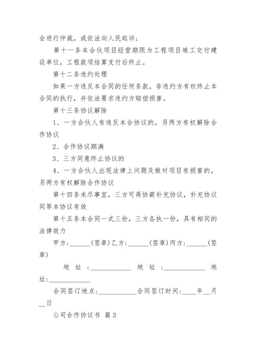 公司合作协议书.docx