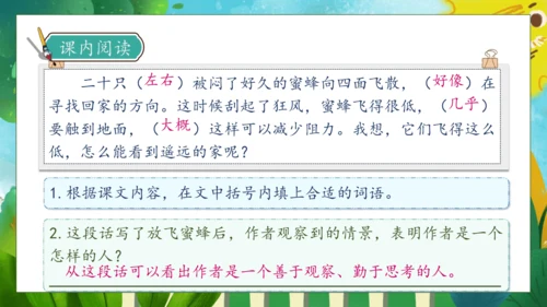 【核心素养】部编版语文三年级下册-14. 蜜蜂 第2课时（课件）