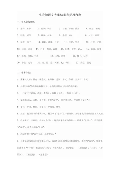 2023年小升初语文大集结重点复习内容.docx