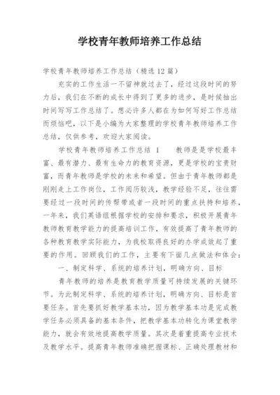 学校青年教师培养工作总结.docx