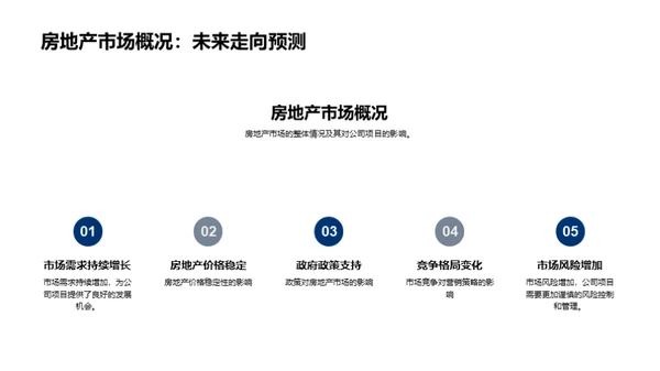 项目进程分析与未来规划