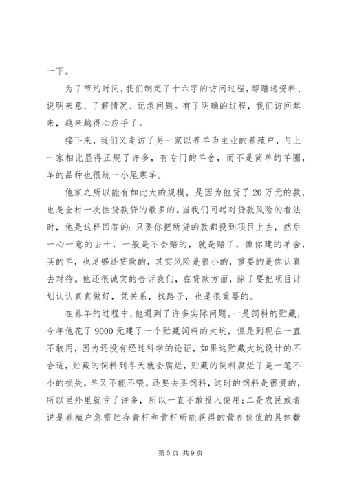 大学生农村社会实践报告范文.docx