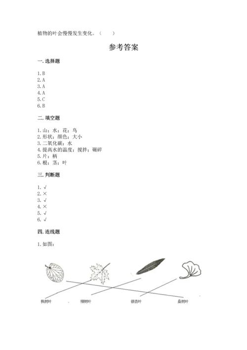 教科版科学一年级上册第一单元《植物》测试卷精品【预热题】.docx