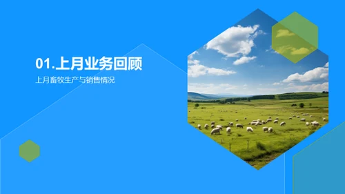 畜牧业务优化策略