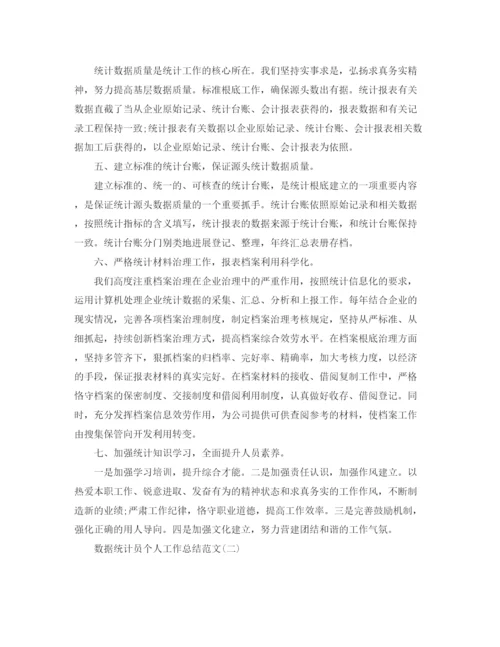 精编之数据统计员个人工作参考总结范文（通用）.docx