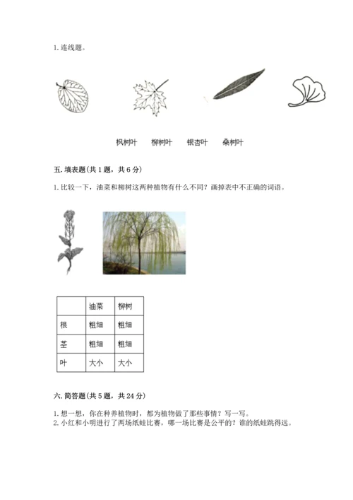 教科版一年级上册科学期末测试卷【重点】.docx