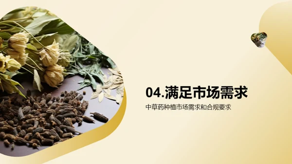 绿色农业：中草药种植新视角