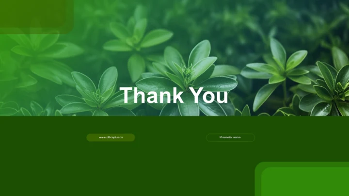 探索植物的奥秘