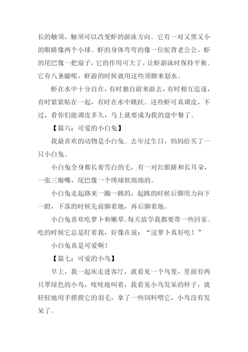 小动物的作文100字.docx