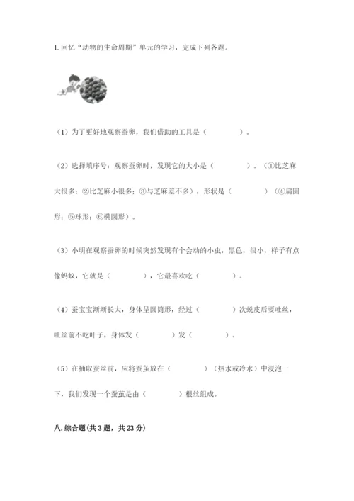 教科版小学科学三年级下册期末测试卷及参考答案1套.docx