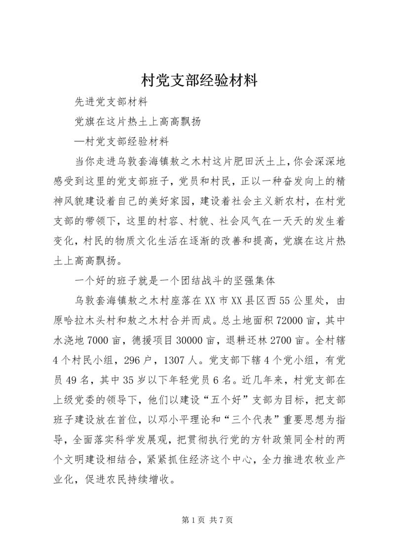 村党支部经验材料.docx