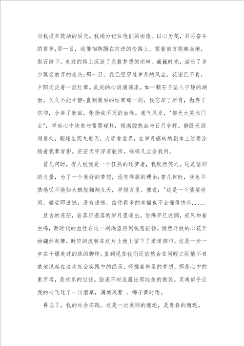 大学生经历报告14篇