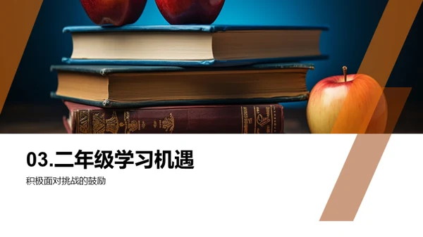 二年级学习之路