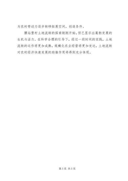 土地流转的调研报告.docx