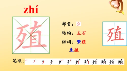 16 太阳 课件