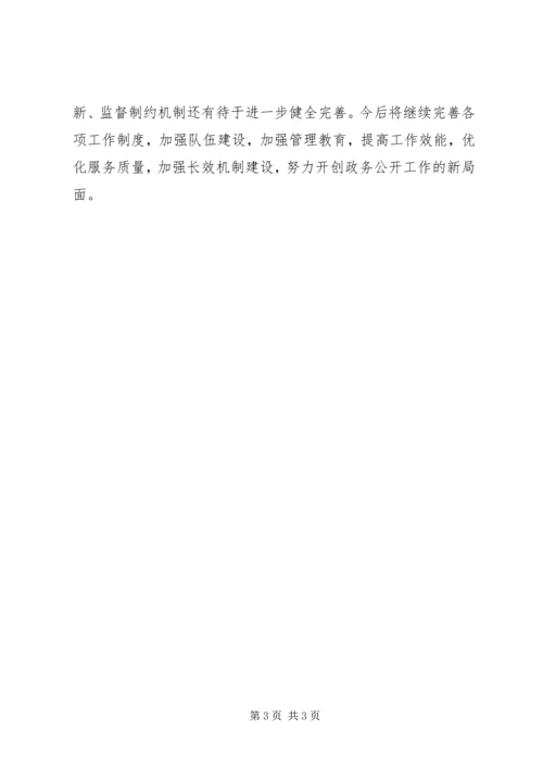 城管政务公开年度报告.docx