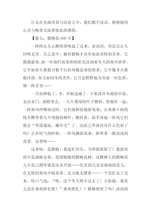 梅花的作文0.docx