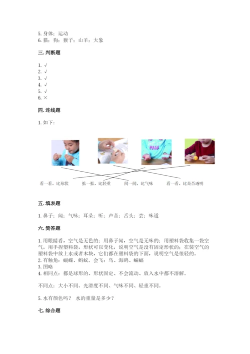教科版小学科学一年级下册期末测试卷附答案（典型题）.docx