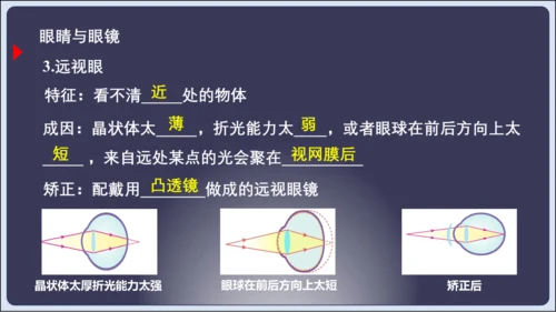 【人教2024版八上物理精彩课堂（课件）】5.6章末复习 (共33张PPT)