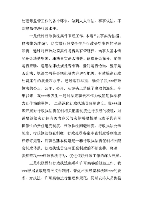依法行政工作总结