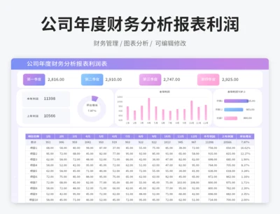 公司年度财务分析报表利润表