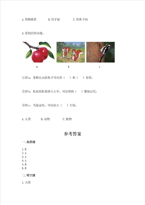 教科版二年级上册科学期末测试卷精品易错题