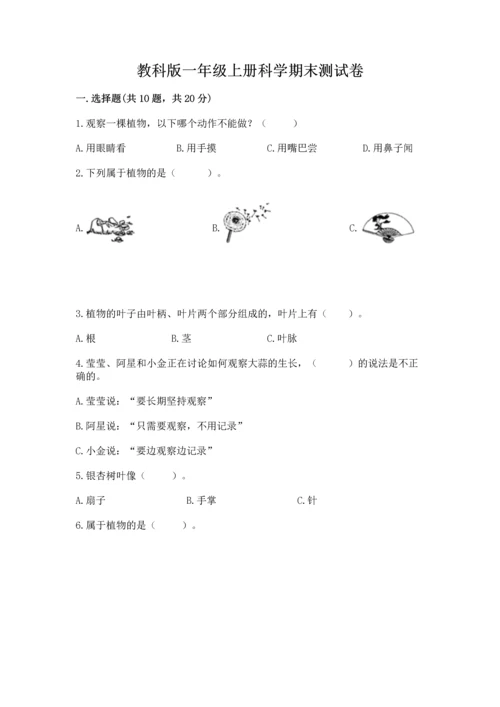 教科版一年级上册科学期末测试卷【综合卷】.docx