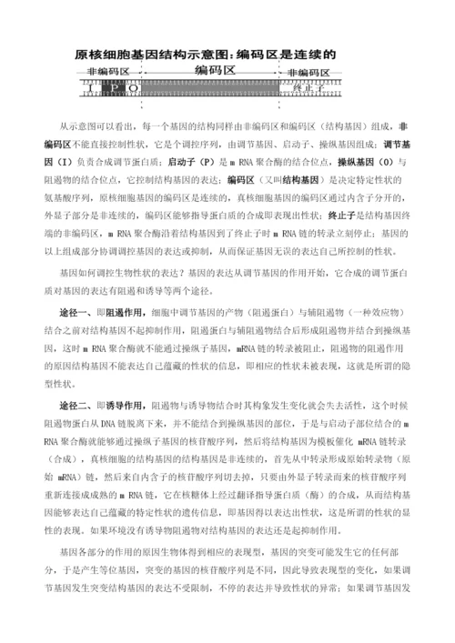 显性基因隐性基因和基因表达调控的机制.docx