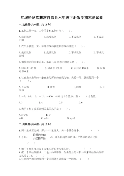 江城哈尼族彝族自治县六年级下册数学期末测试卷新版.docx