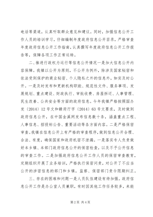 乡镇年度信息公开自查报告.docx