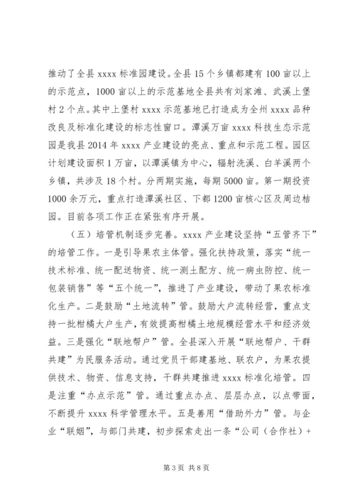 产业建设调研报告精编.docx