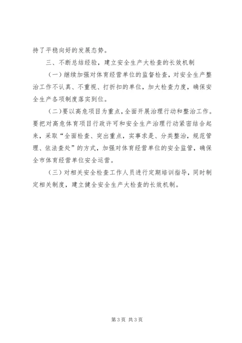 公共体育设施检查工作总结.docx