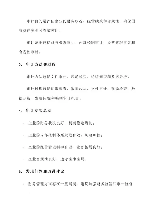 国有投资企业审计方案