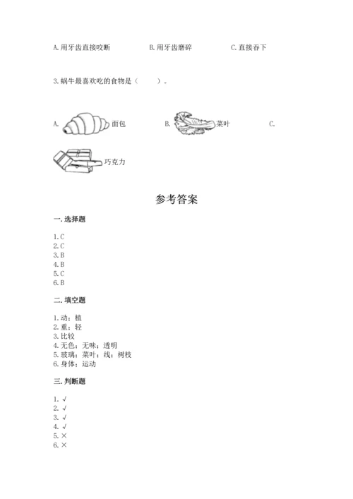 教科版一年级下册科学期末测试卷精品【名师推荐】.docx