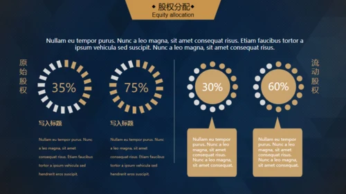 轻奢质感逼格创业计划书通用PPT模版