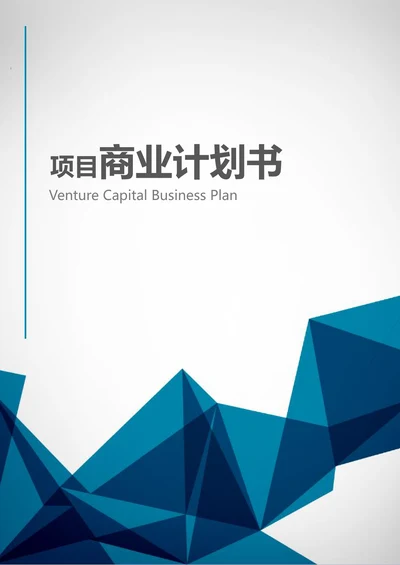 项目商业计划书策划模板