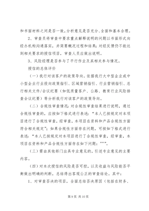咨询审查报告内容 (3).docx
