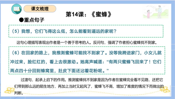 统编版三年级语文下册同步高效课堂系列第四单元（复习课件）