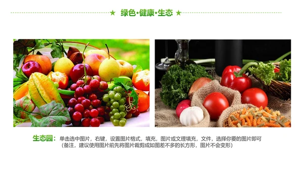 绿色有机生态农业招商农产品展示PPT模板