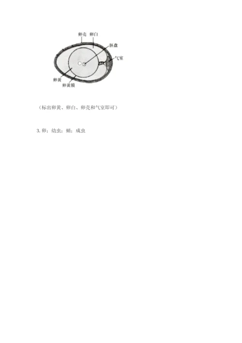 教科版科学三年级下册 期末测试卷附参考答案（培优b卷）.docx
