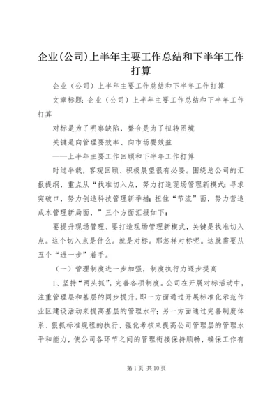 企业(公司)上半年主要工作总结和下半年工作打算.docx